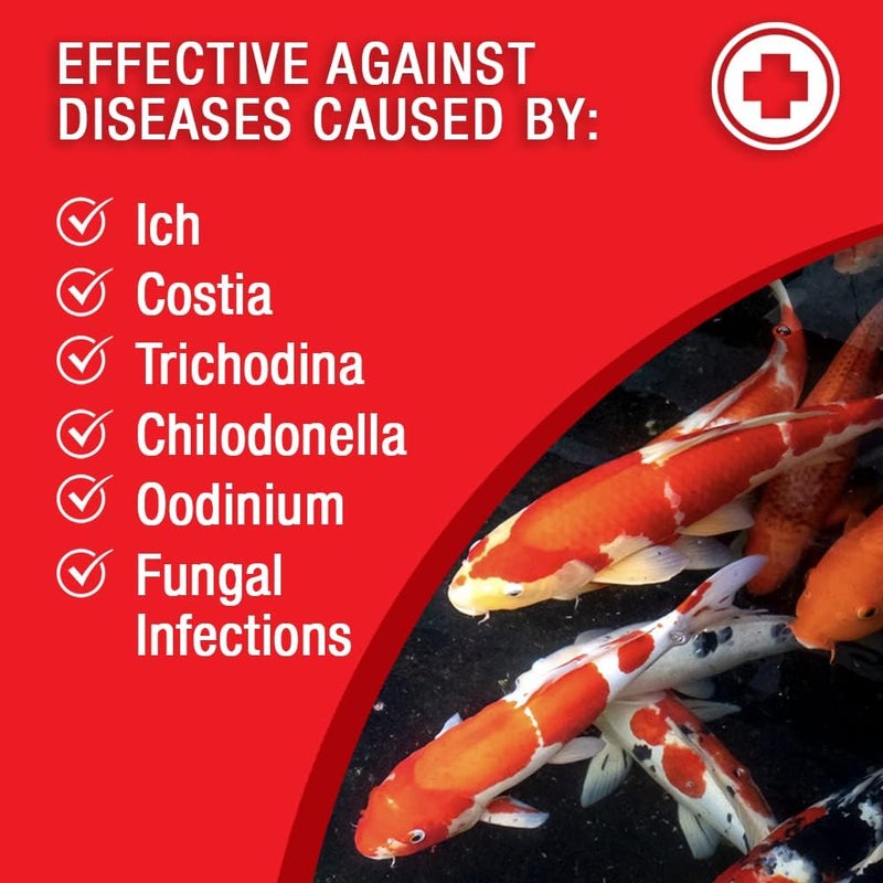 Microbe Lift MICROBE-LIFT Broad Spectrum Disease Treatment for Ponds - 32 Fl Oz, Safe for Koi Fish and Goldfish - Image 3